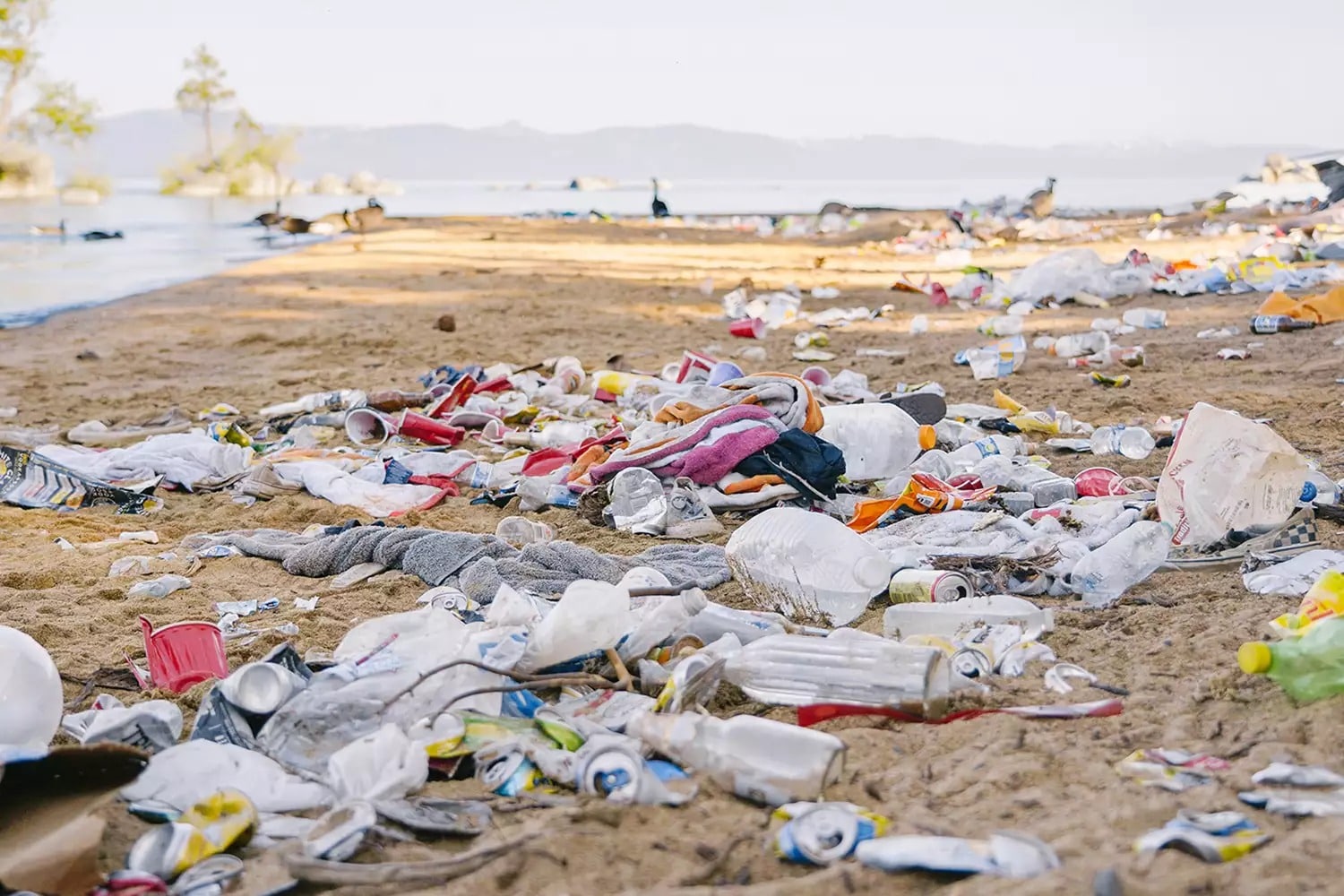 trash on beach