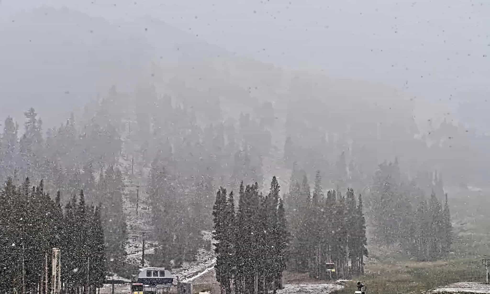 mount rose-ski tahoe summer snow