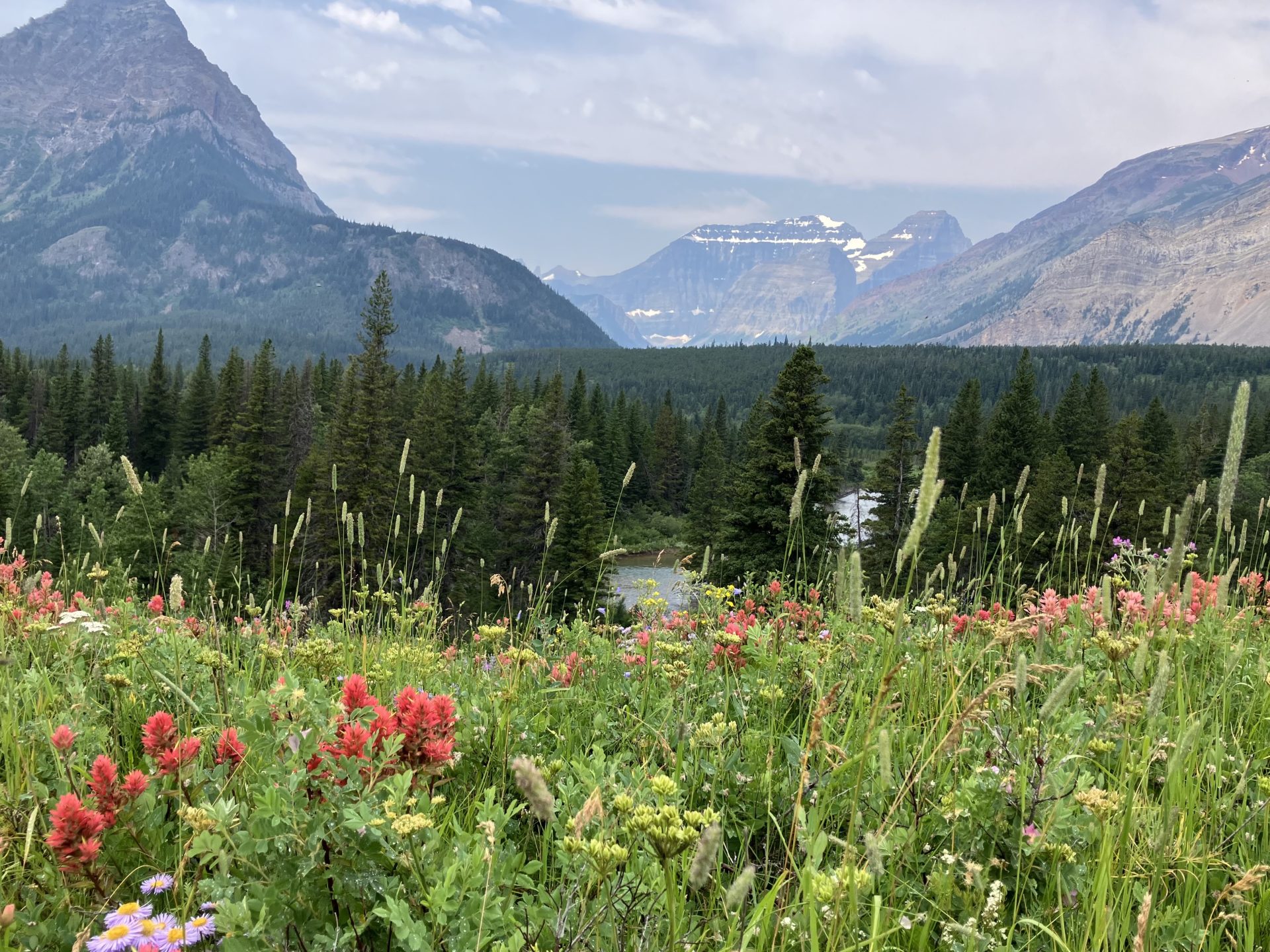 Belly River valley PC: Claire Weiss