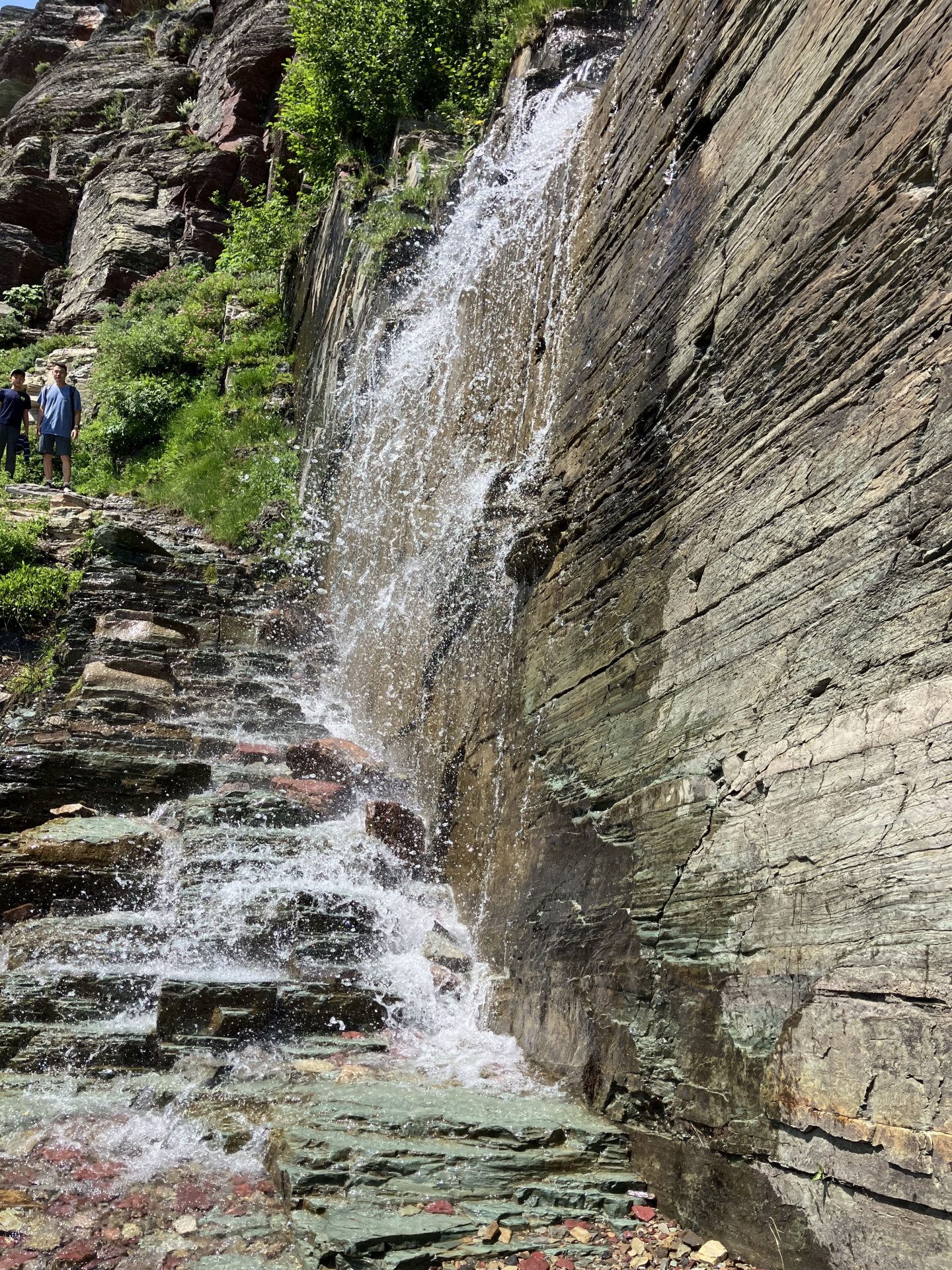 Grinnell Glacier trail, July 2024 PC: Claire Weiss