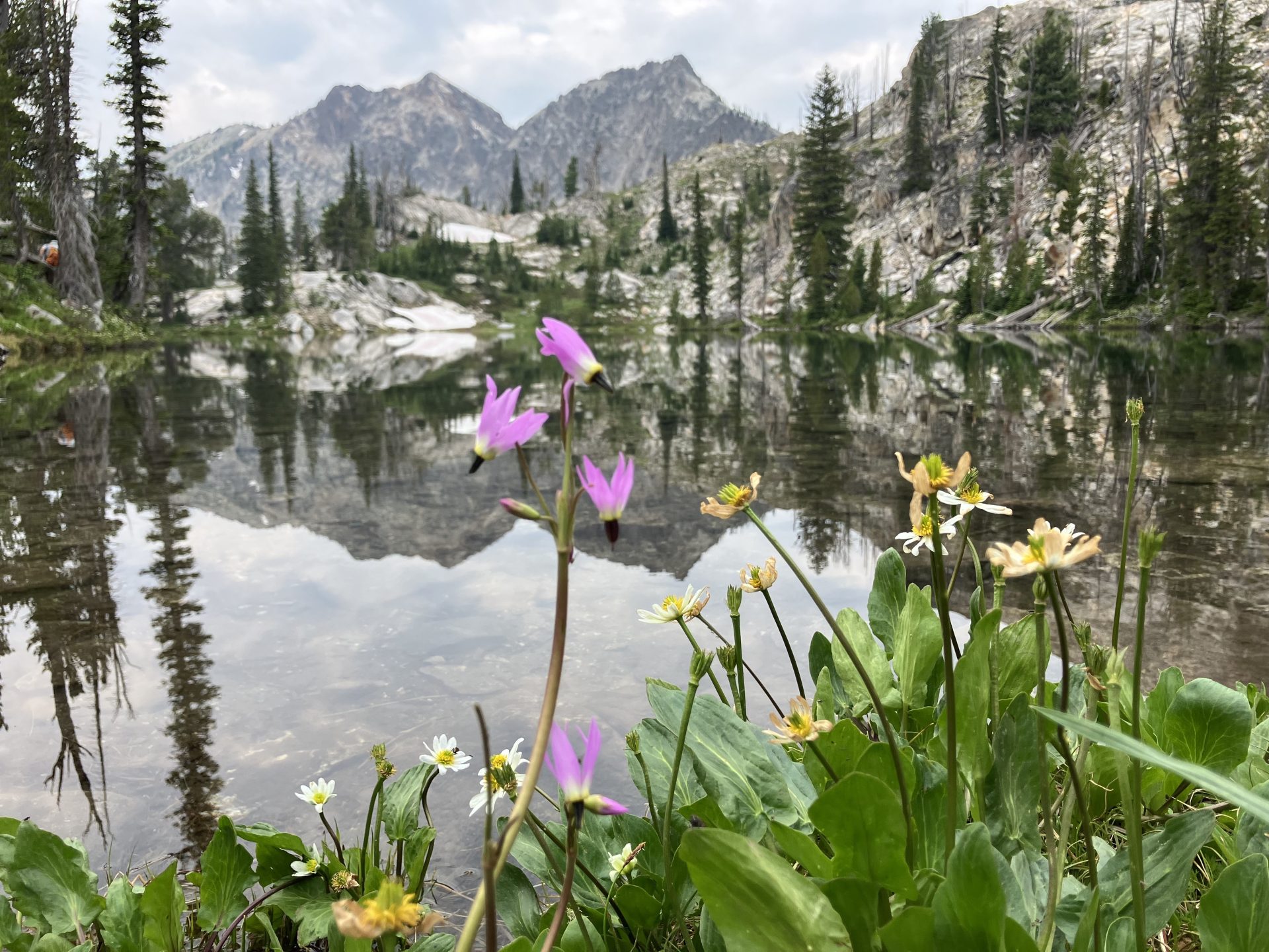 Lower Sawtooth lake, ID PC: Claire Weiss