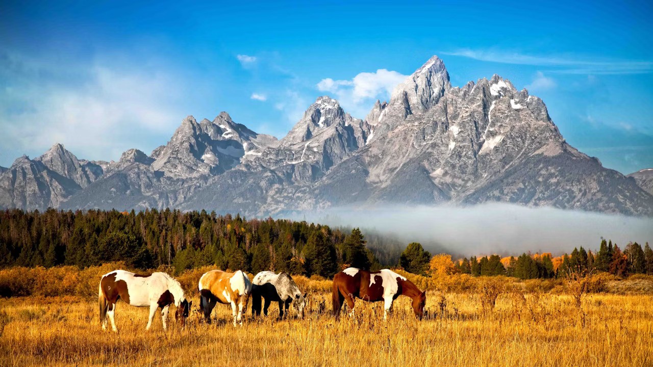 A view from the Kelly Parcel. Photo Credit: The Cowboy State Daily