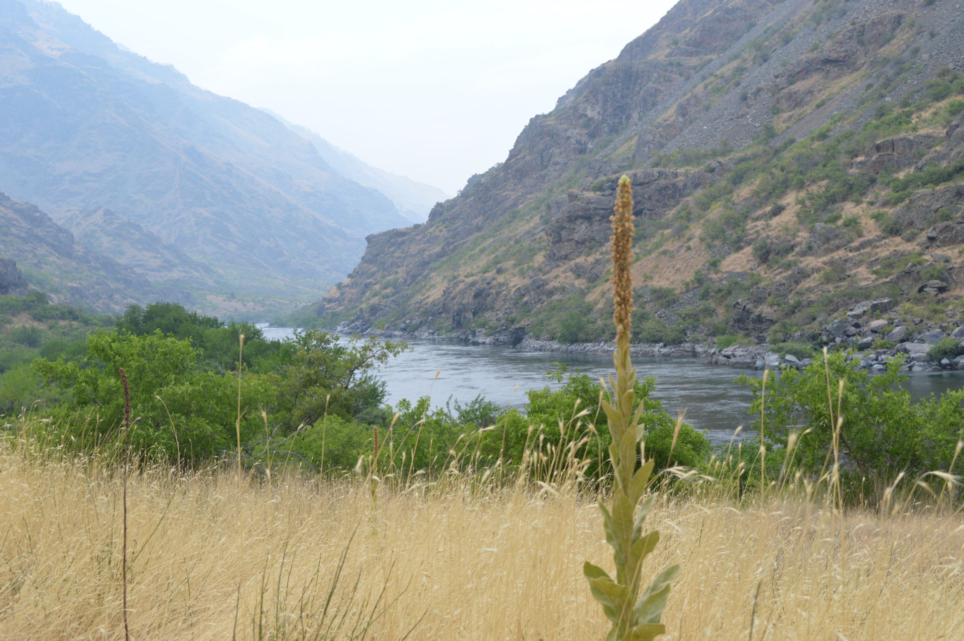 Our view from camp! Photo Credit: SnowBrains