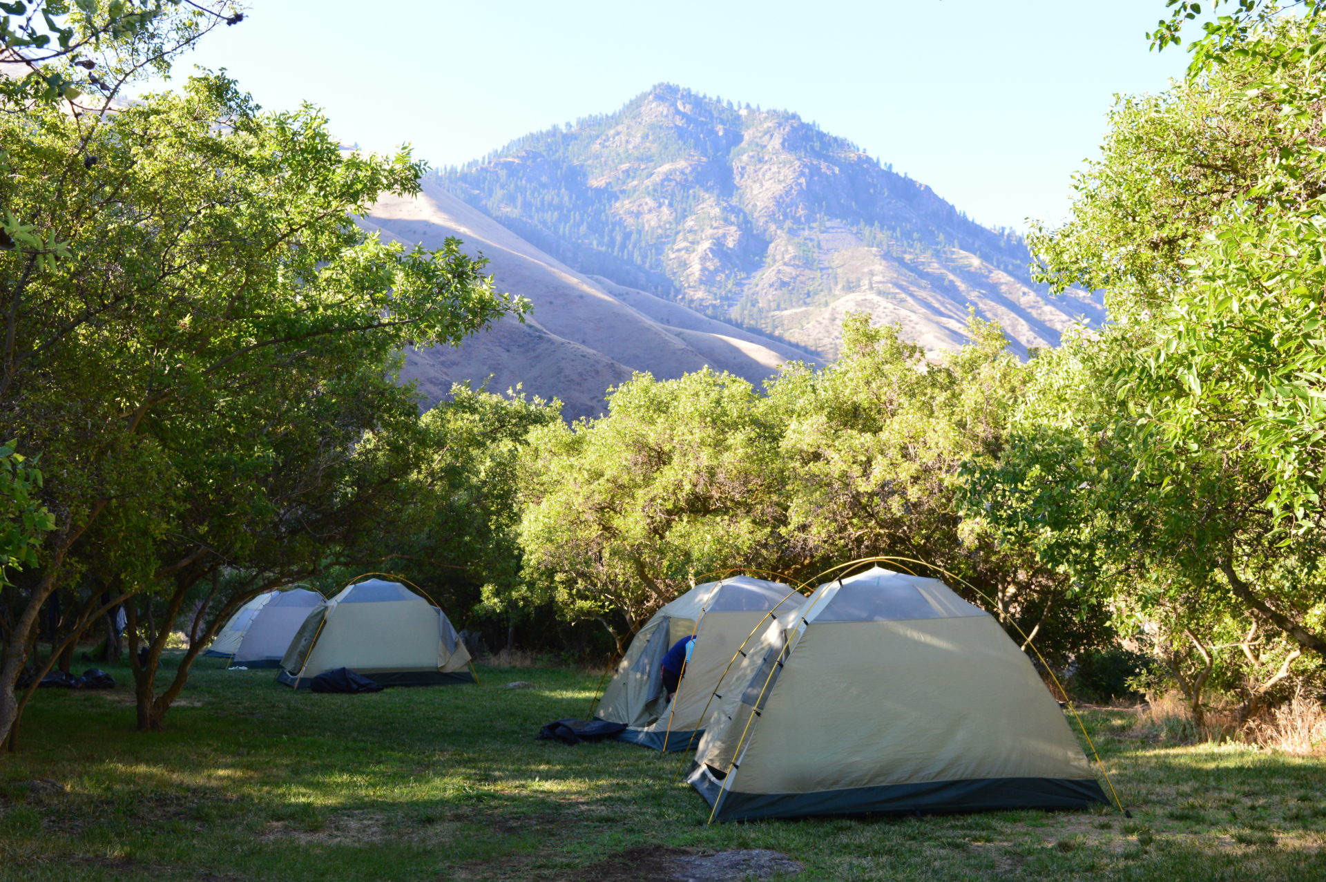 Our lush campground at Sheep Creek. Photo Credit: SnowBrains