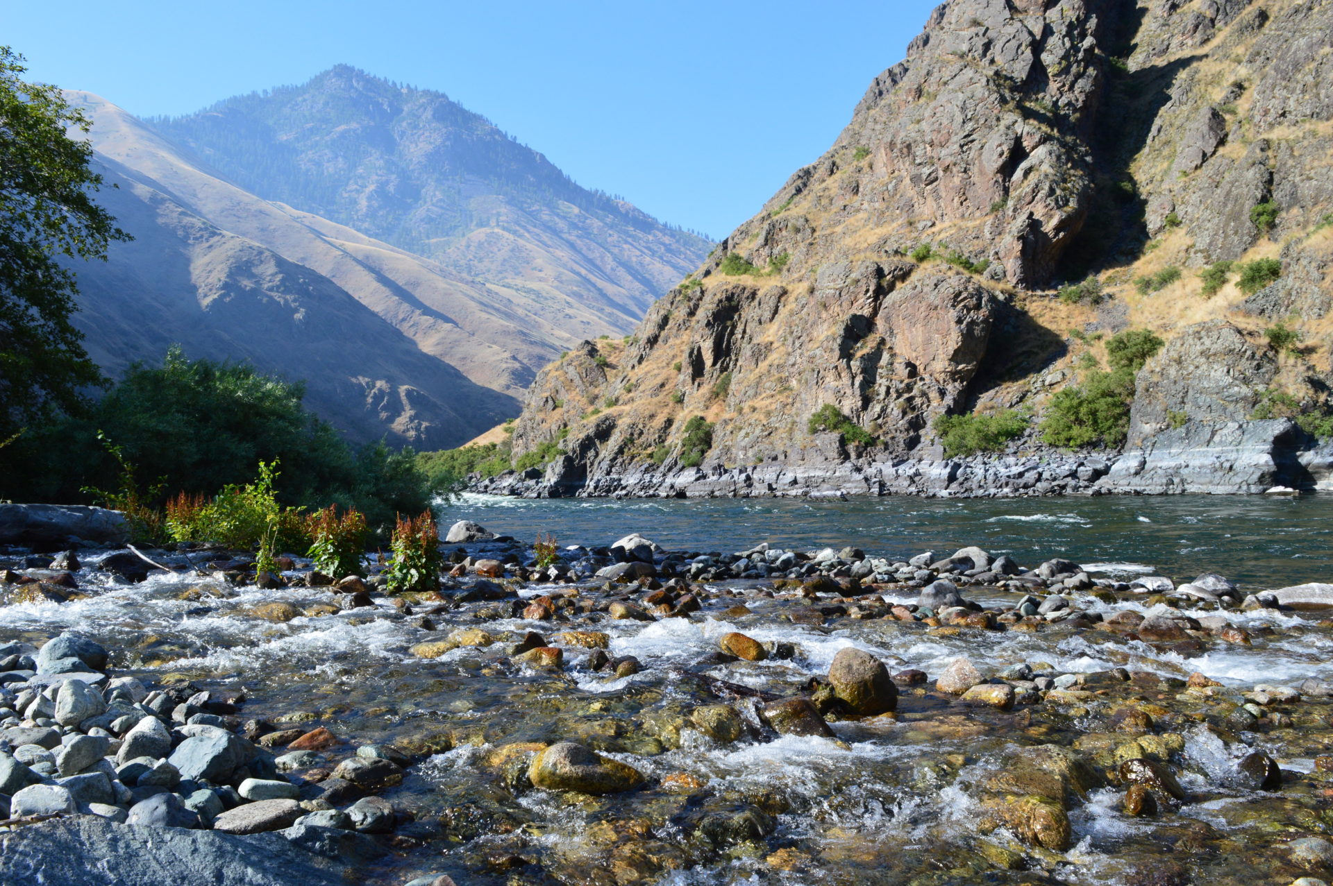 The ice cold Sheep Creek meeting the Snake River. Photo Credit: SnowBrains