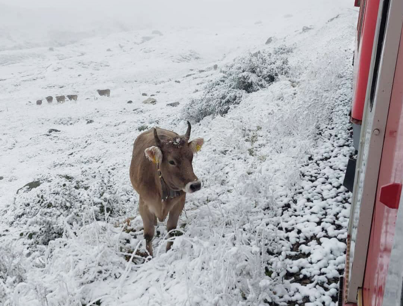 [PHOTOS] Day 2 of the Summer time Snowstorm within the European Alps