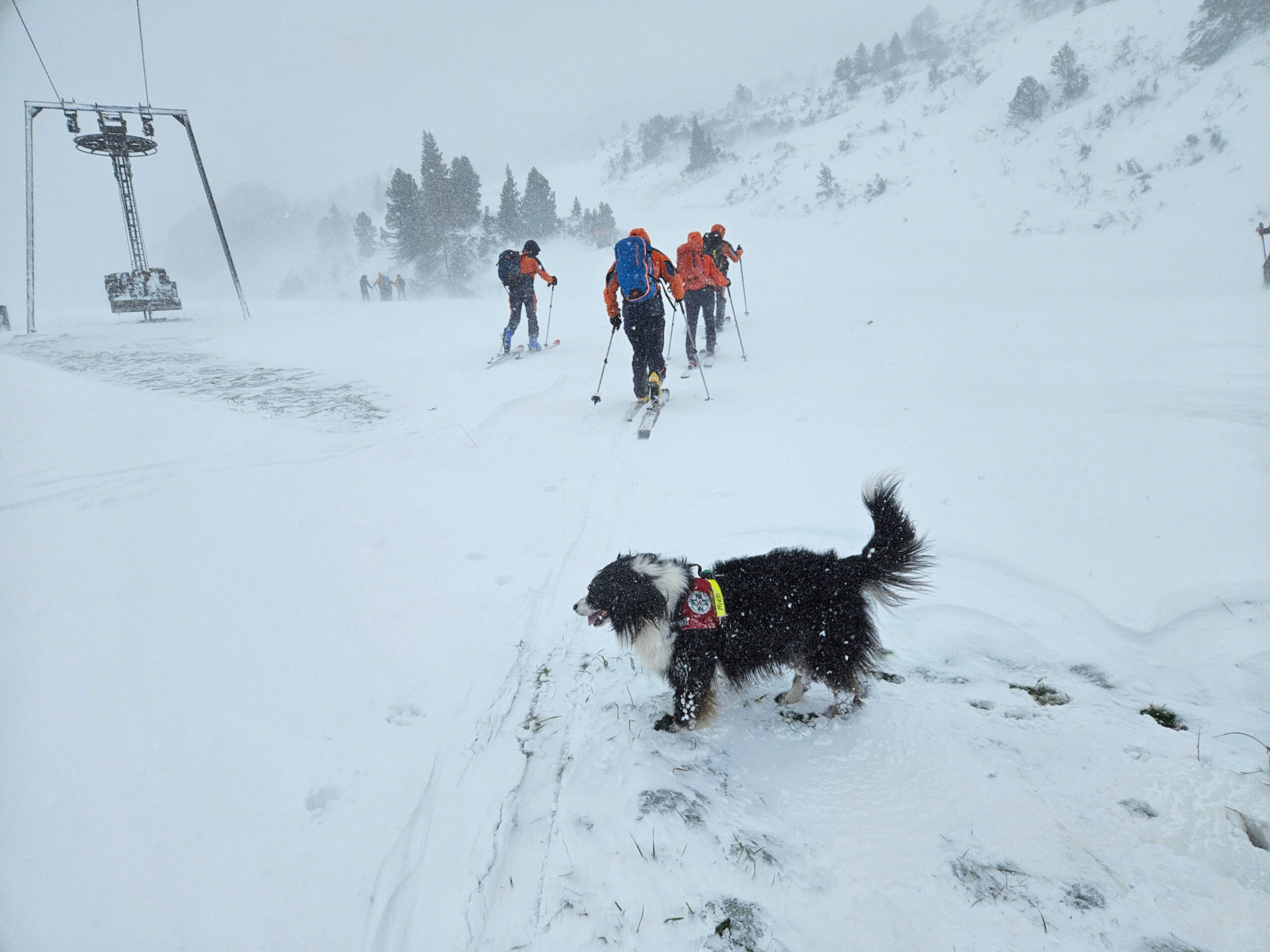 Backcountry Skier Dies Throughout Summer season Snowstorm in Obertauern, Austria