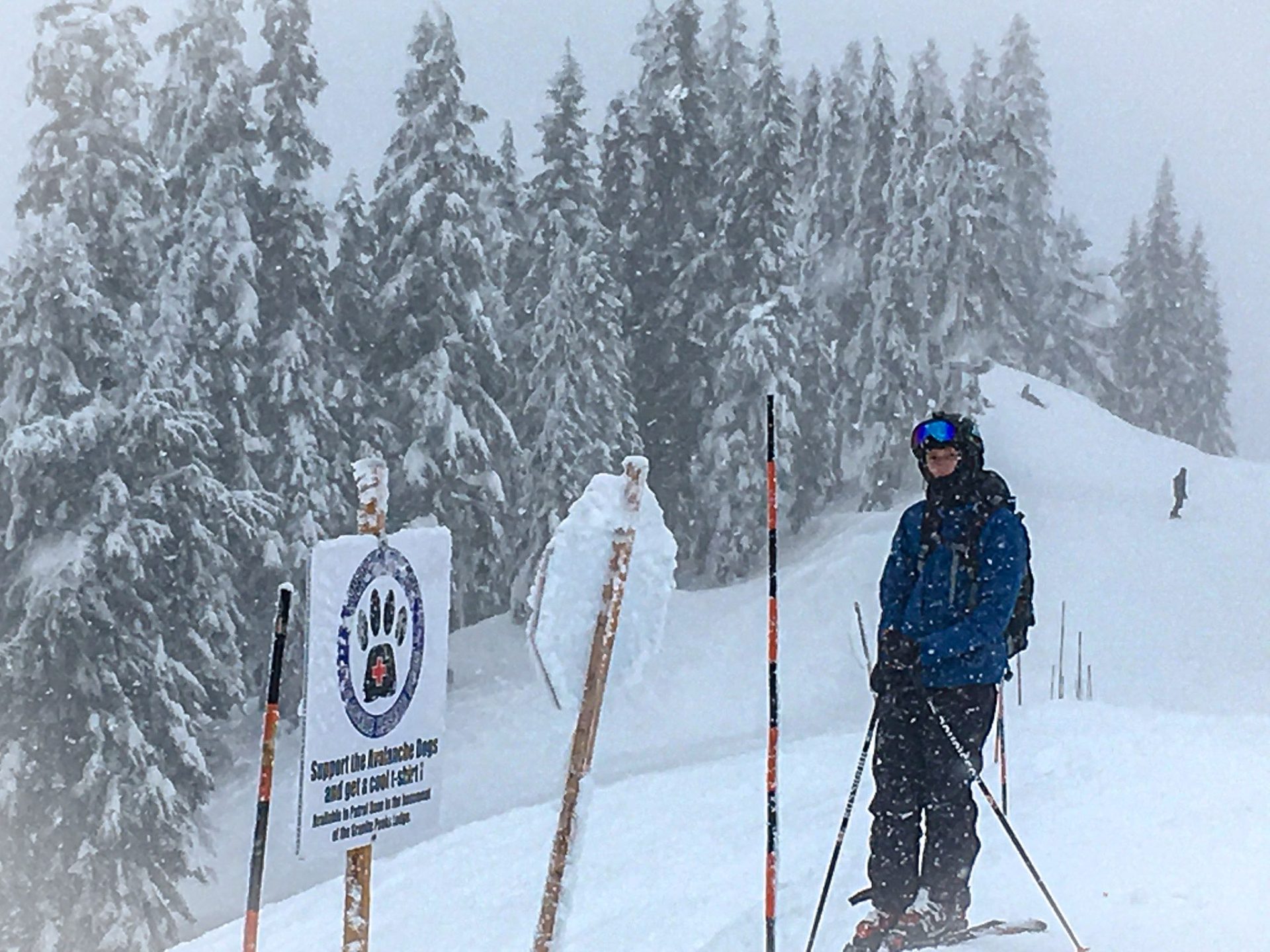 A friend on a powder day