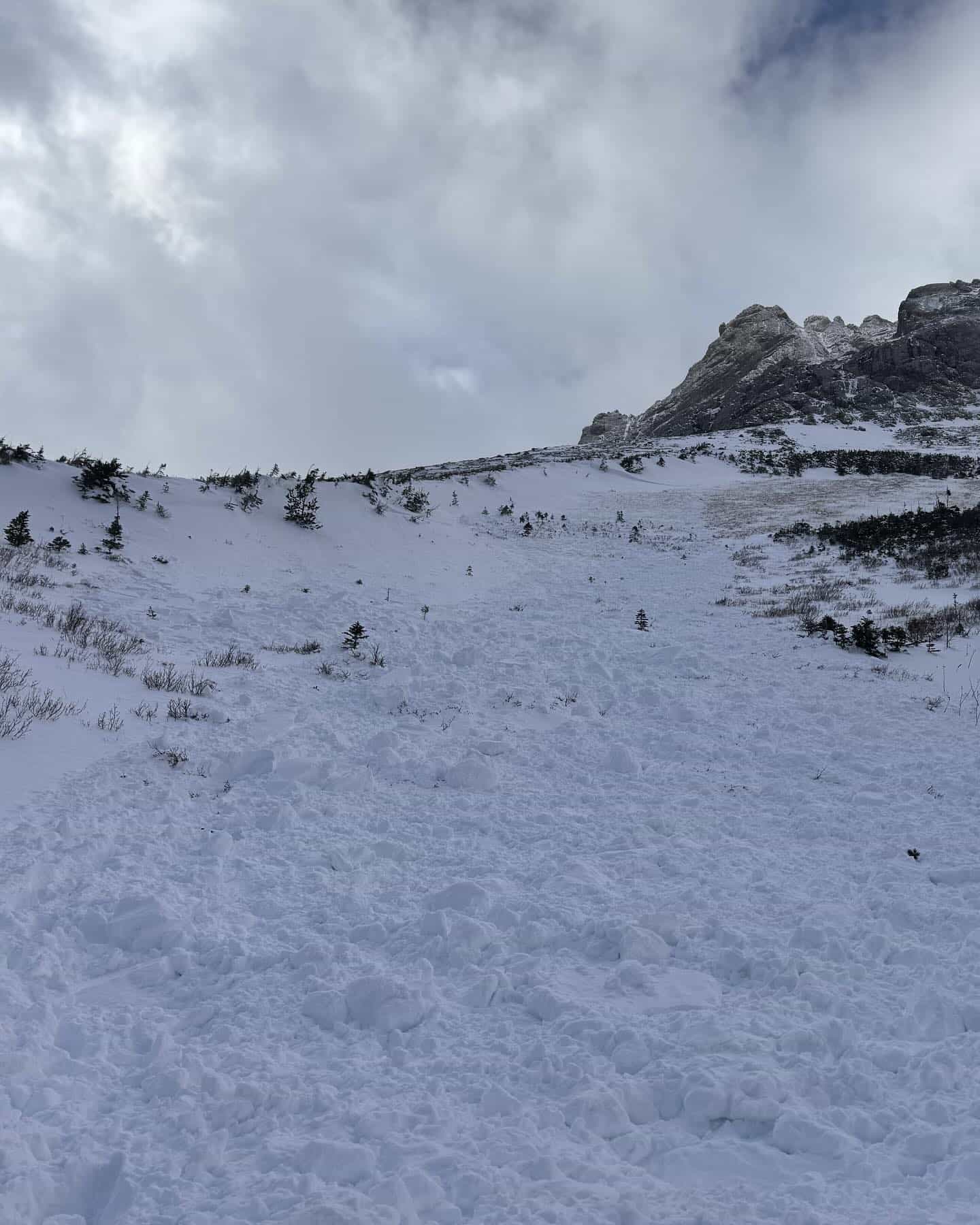 avalanche crowsnest pass