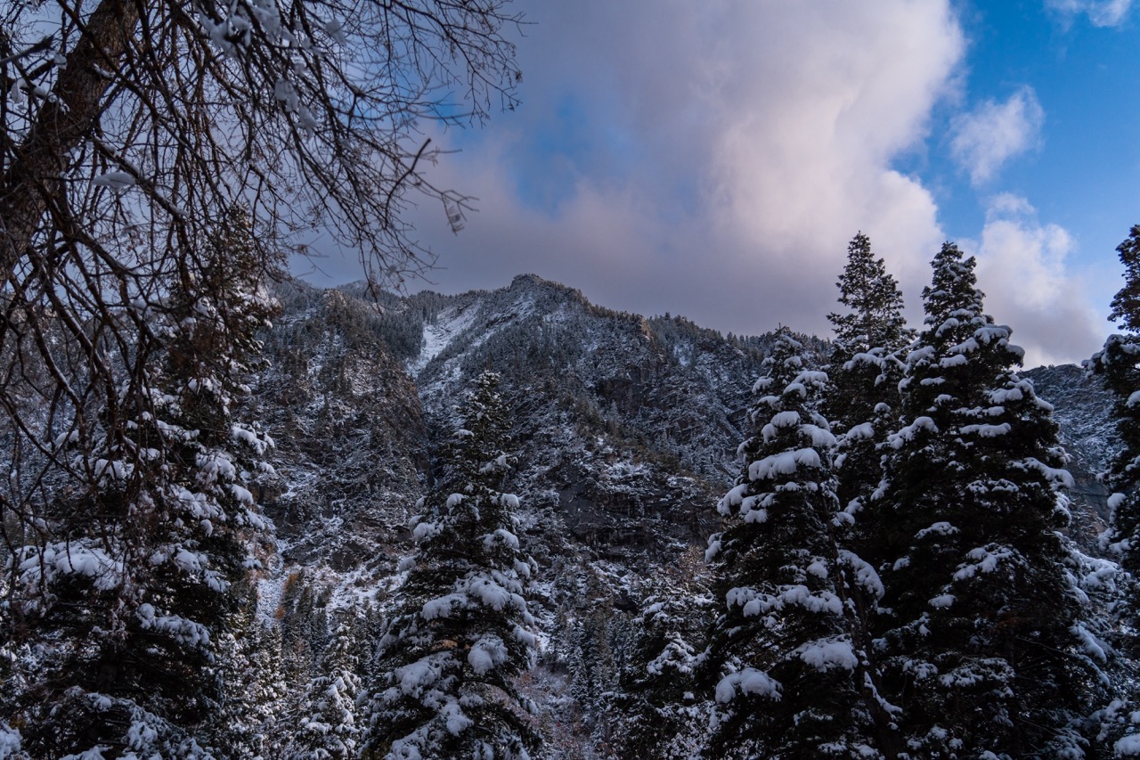 A Snowy Little Cottonwood Canyon