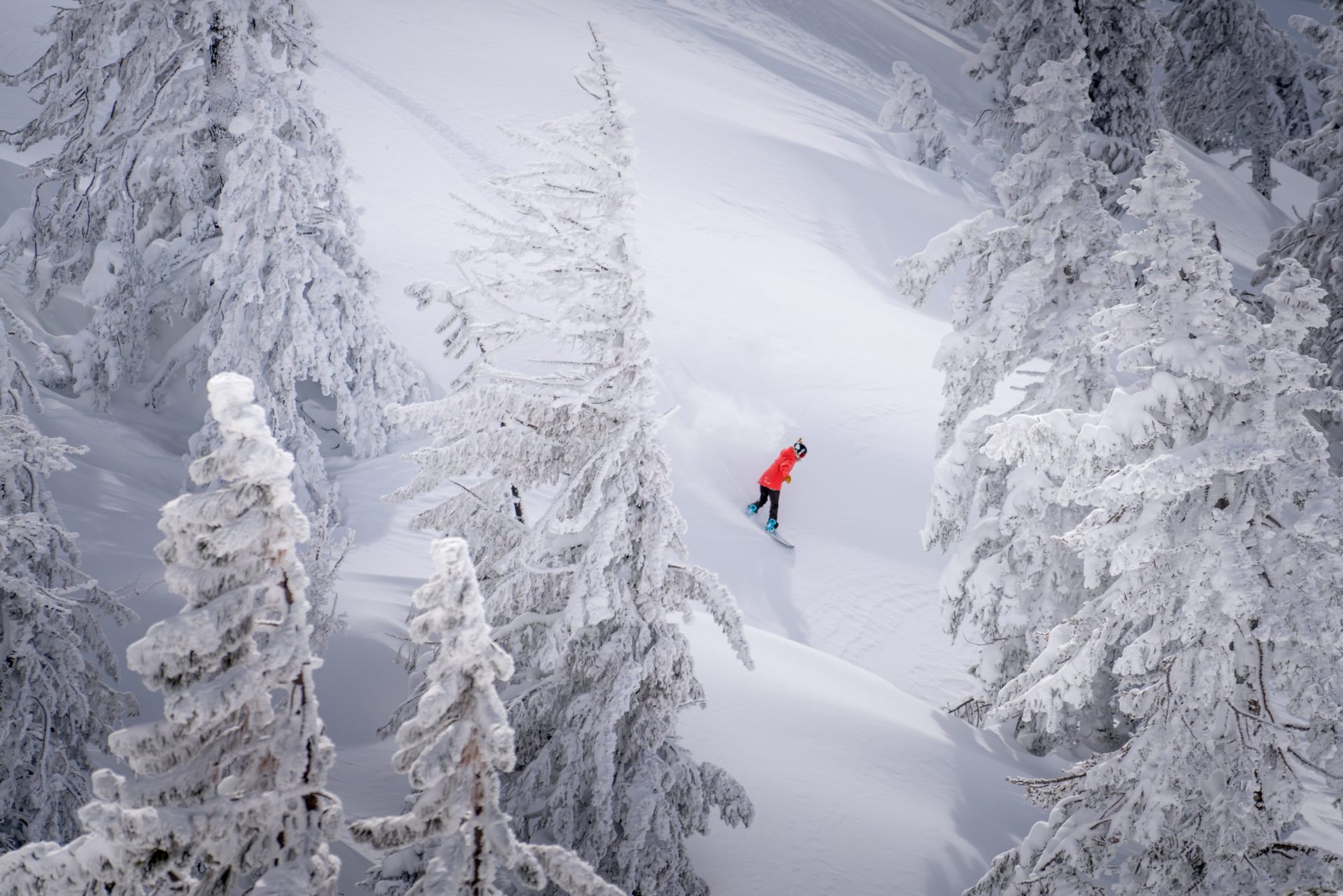 Find your stash at Diamond Peak. Photo Credit: Hit the glades at Diamond Peak. Photo Credit: Diamond Peak