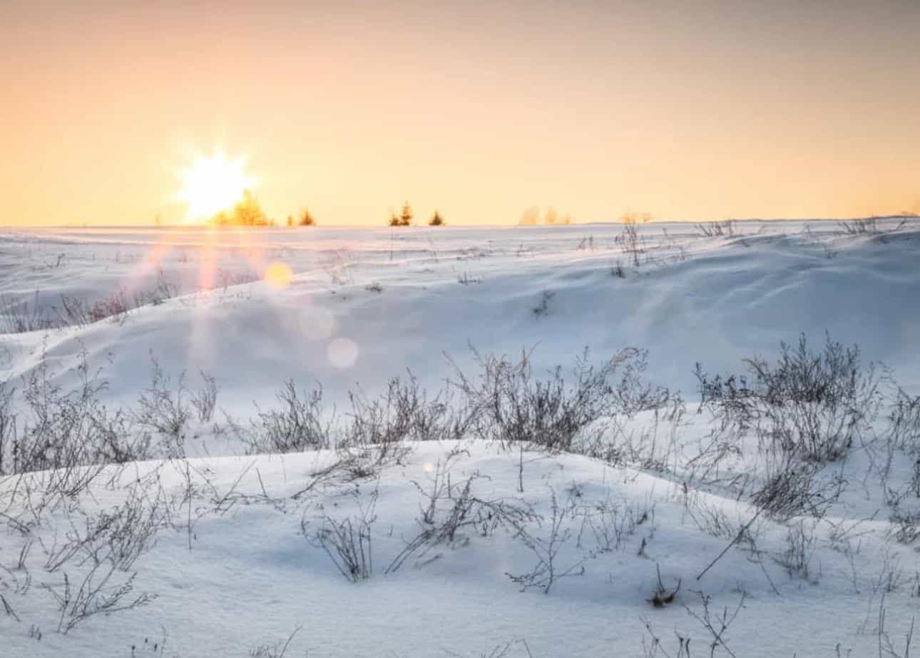 saudi arabia desert snow