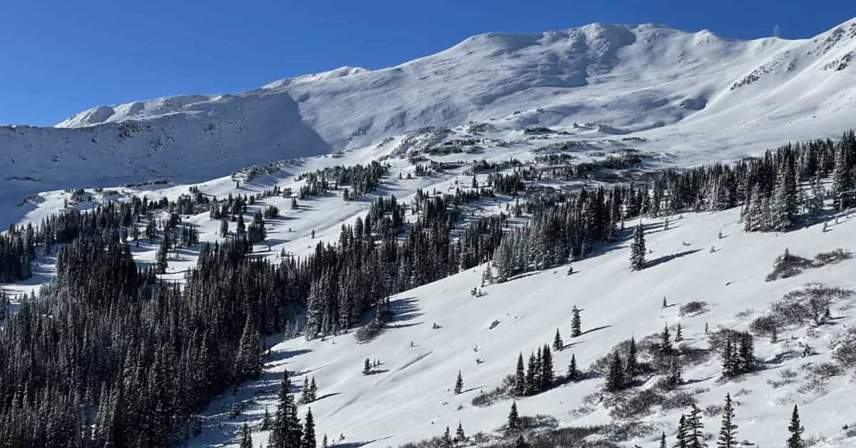 Starting the season off with an easy run through the glades. Photo Credit: SnowBrains