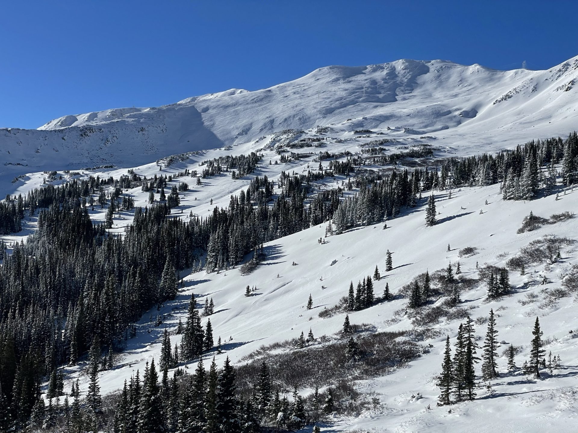 Starting the season off with an easy run through the glades. Photo Credit: SnowBrains 