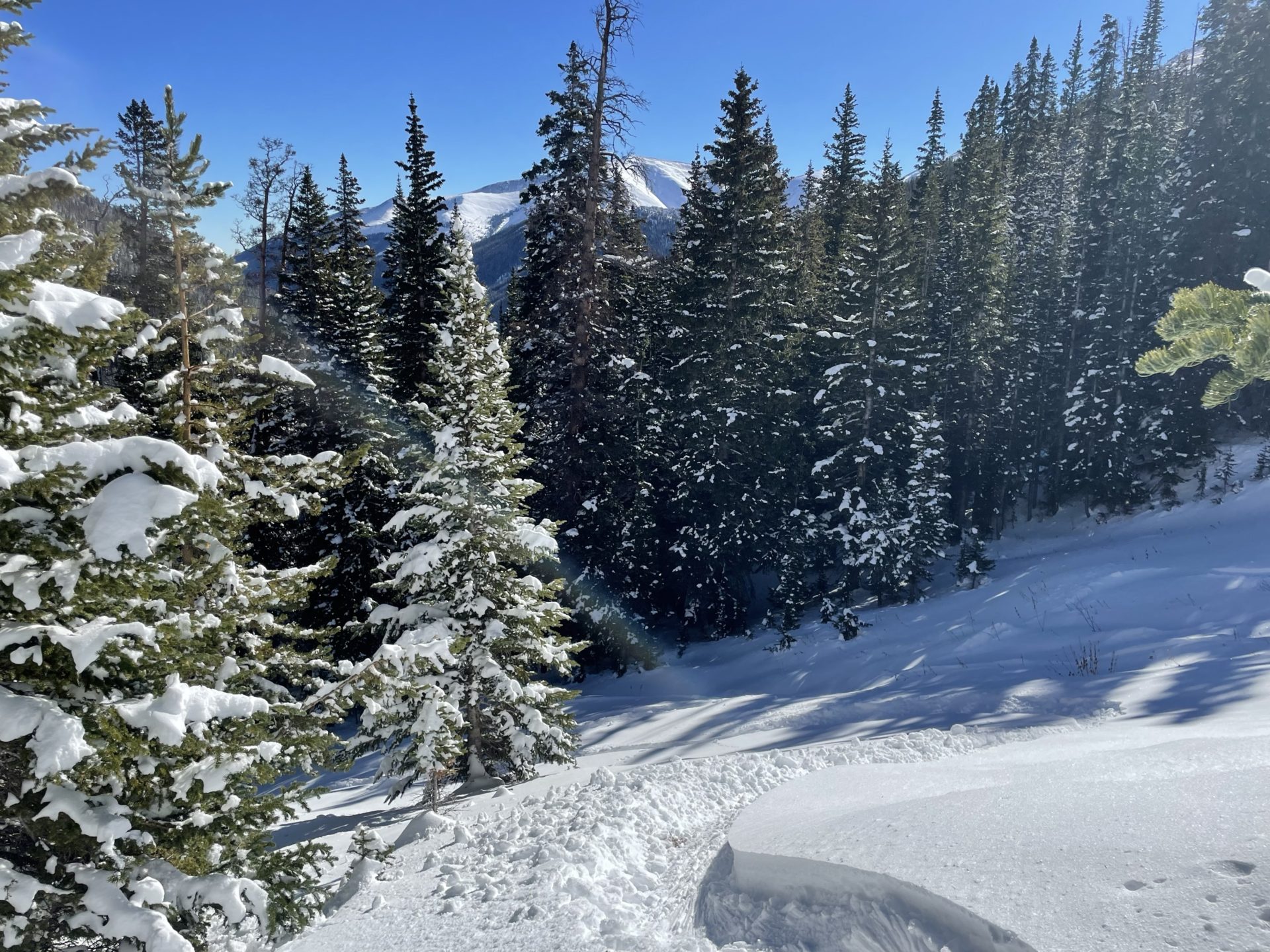 The Light and fluffy November storm rode wonderfully smooth. Photo Credit: SnowBrains