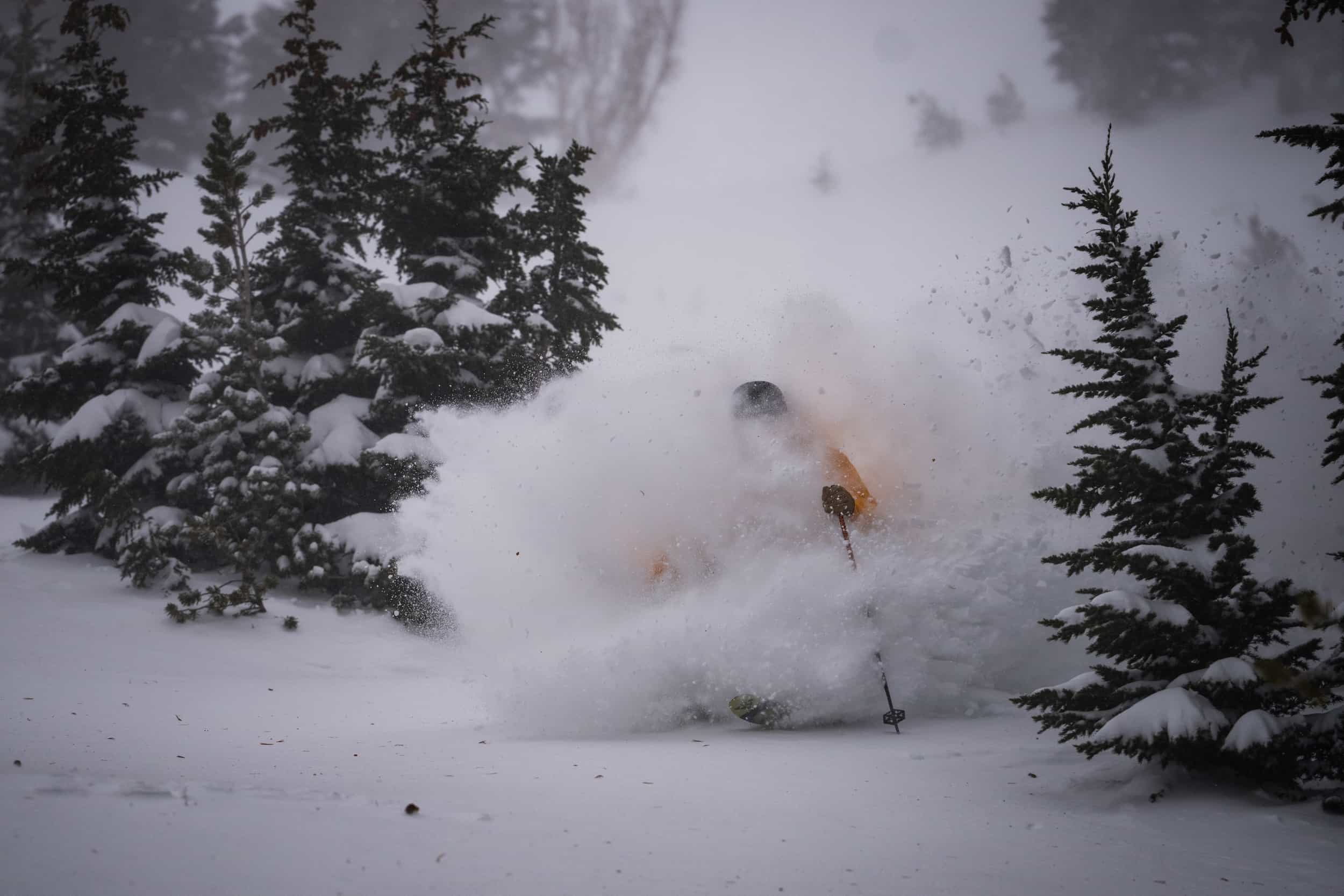 Mammoth snow