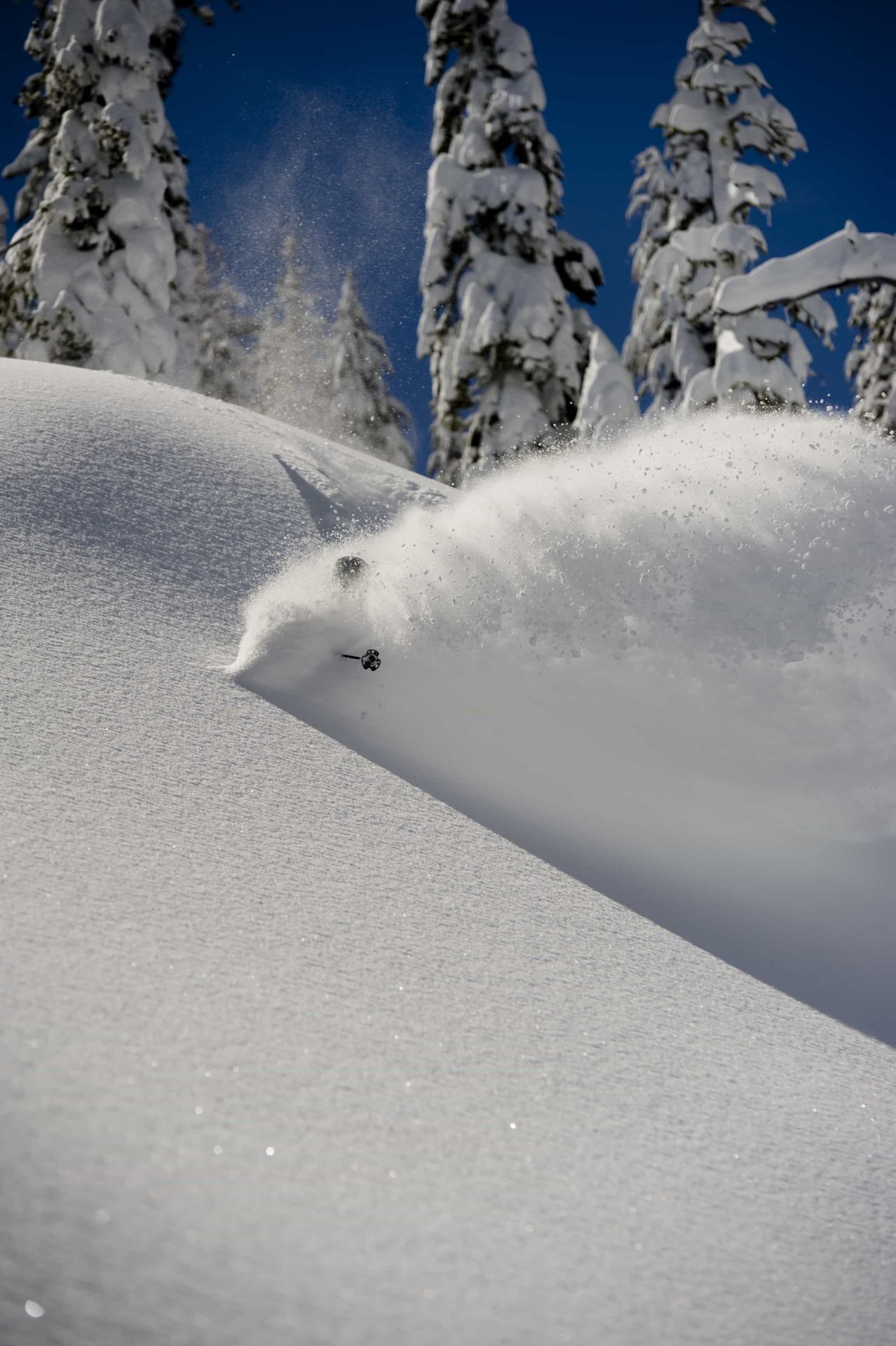 skiing spraying powder in deep snow with blue sky