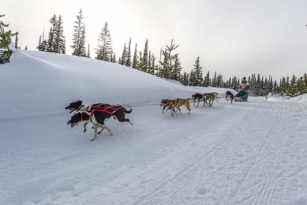 A Non-Skier’s Information to Huge White, BC