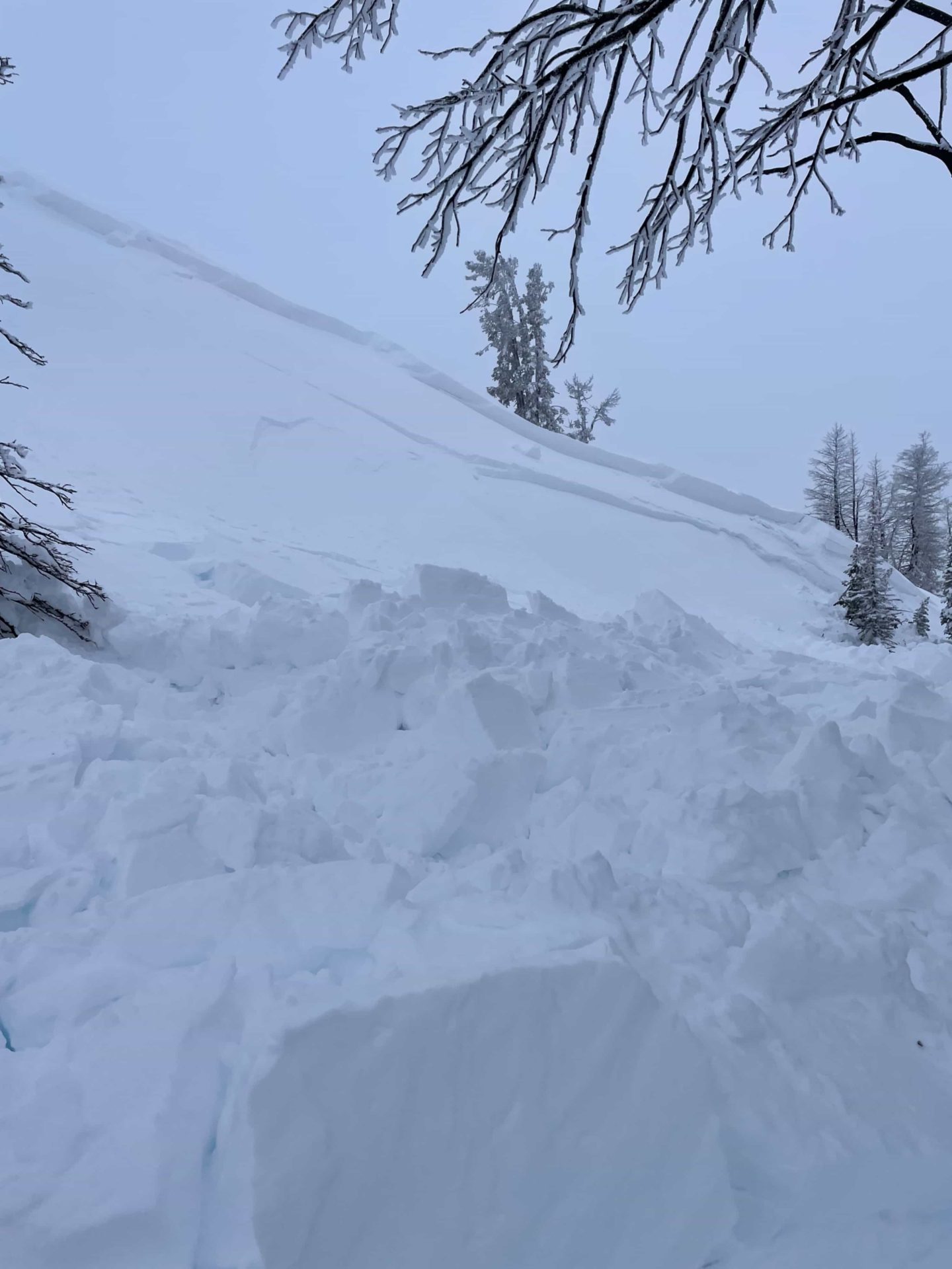 An avalanche in Idaho killed a snow biker