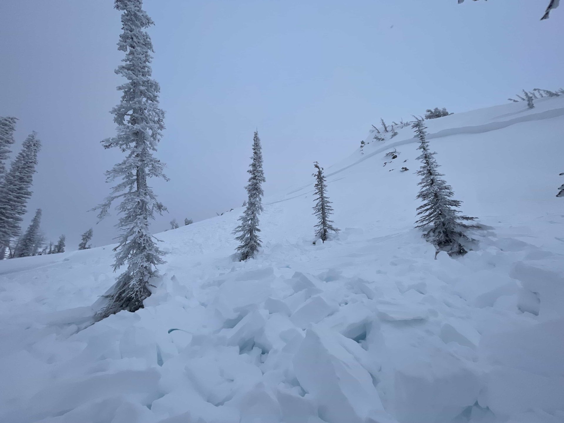 An avalanche in Idaho killed a snow biker