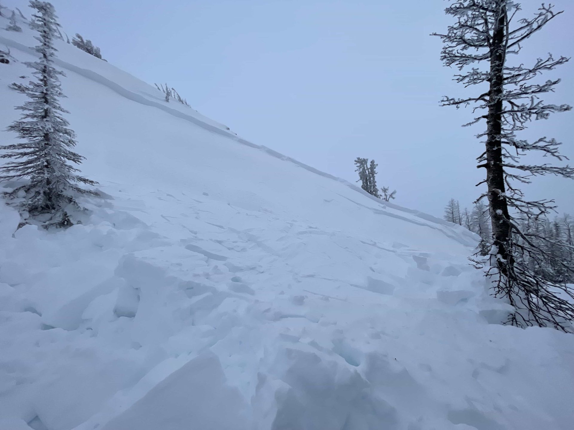 An avalanche in Idaho killed a snow biker