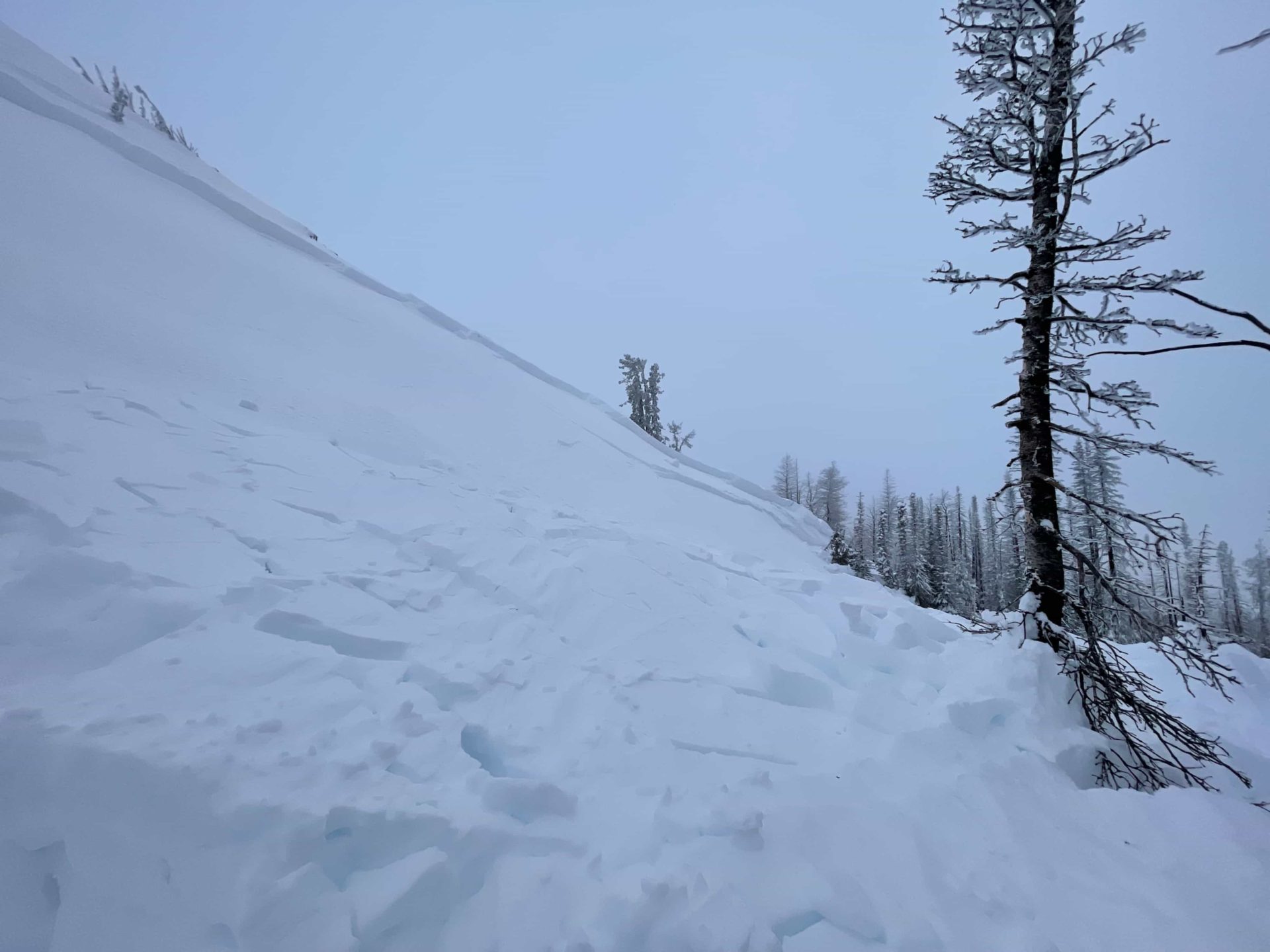 An avalanche in Idaho killed a snow biker