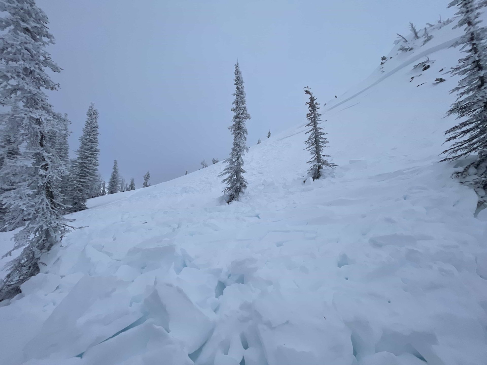 An avalanche in Idaho killed a snow biker