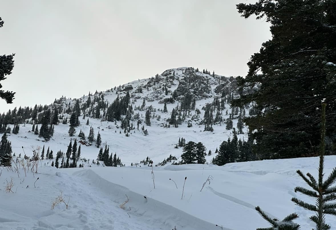 bridger bowl avalanche