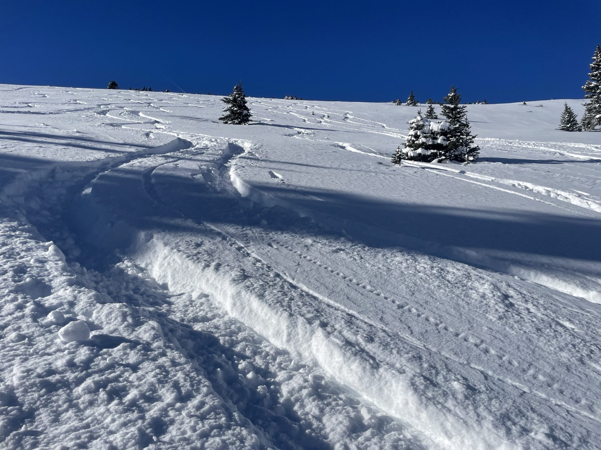 Deep turns! Photo Credit: SnowBrains