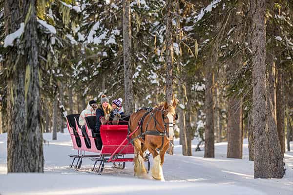 couple sleigh ride at big white this holiday