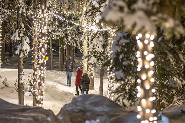 Enchanted twinkling trail at Big White Resort