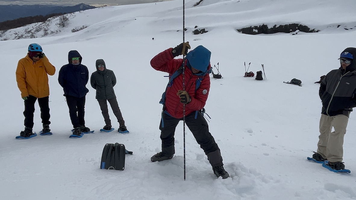 chago demonstrating a probe search