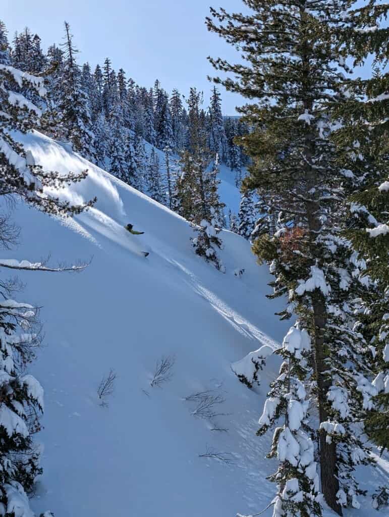 tahoe backcountry terrain with Pacific Crest Snowcats