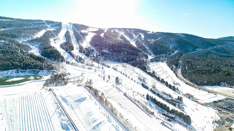 blue mountain resort palmerton