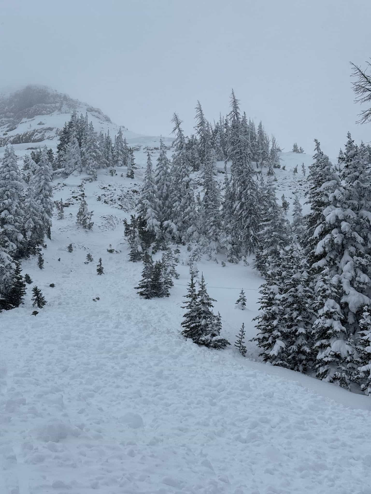 avalanche on togwotee pass, wy, killed a skier