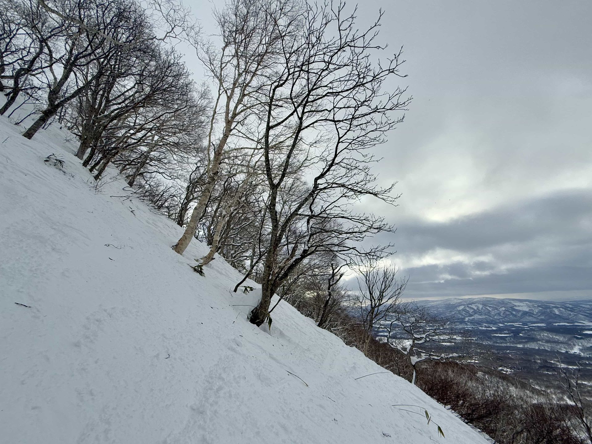 Niseko