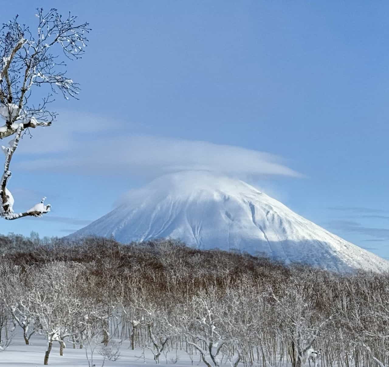 niseko