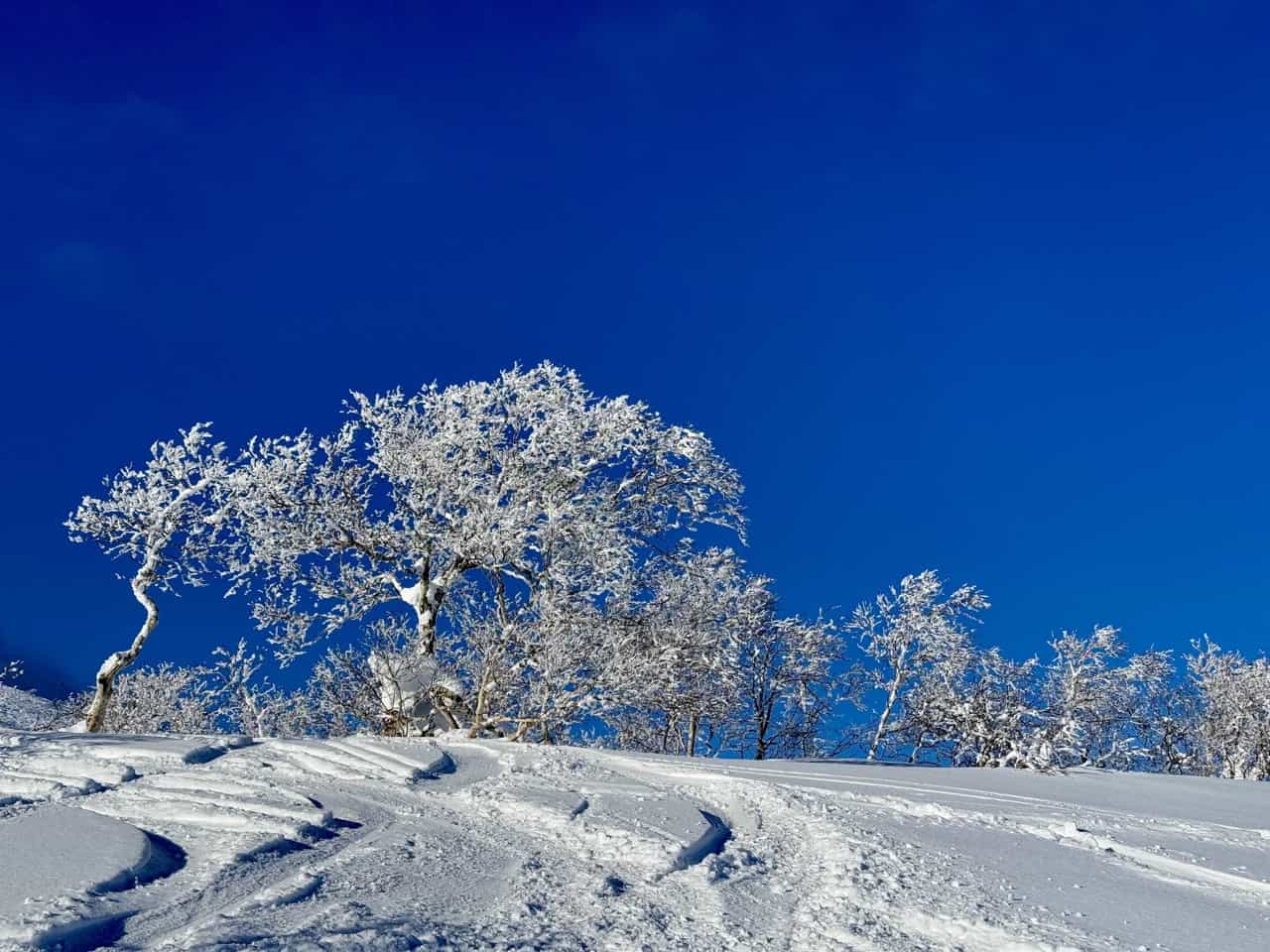 Niseko