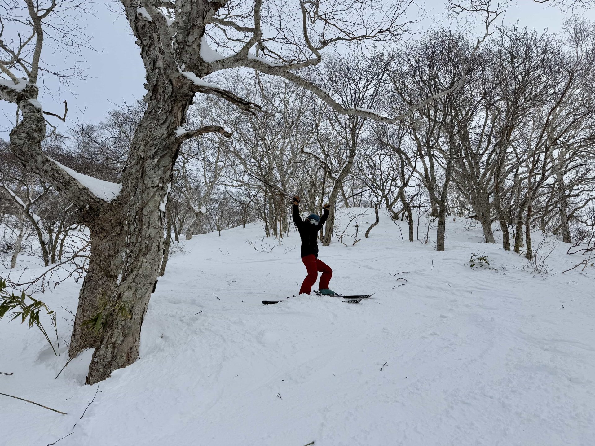 Niseko