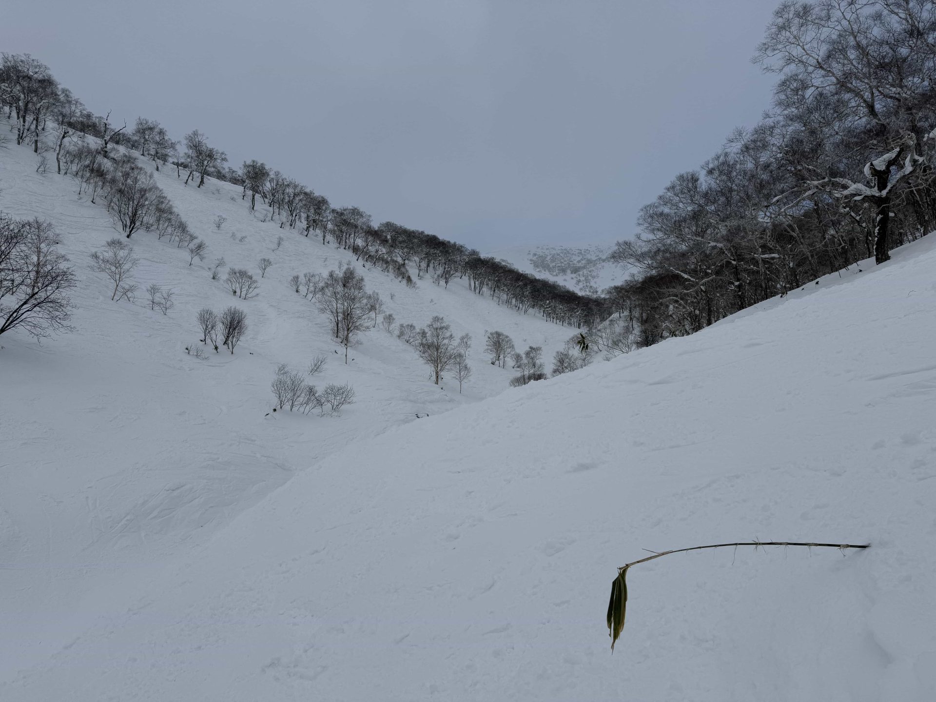 Niseko