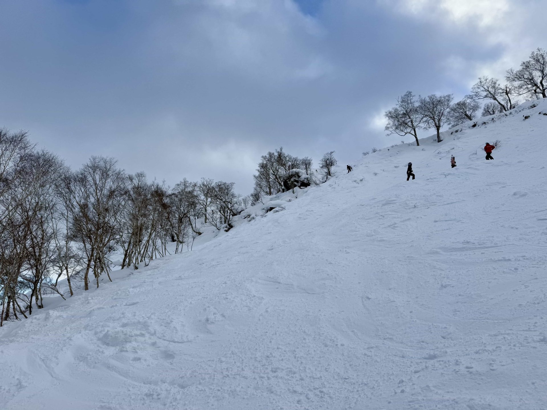 Niseko