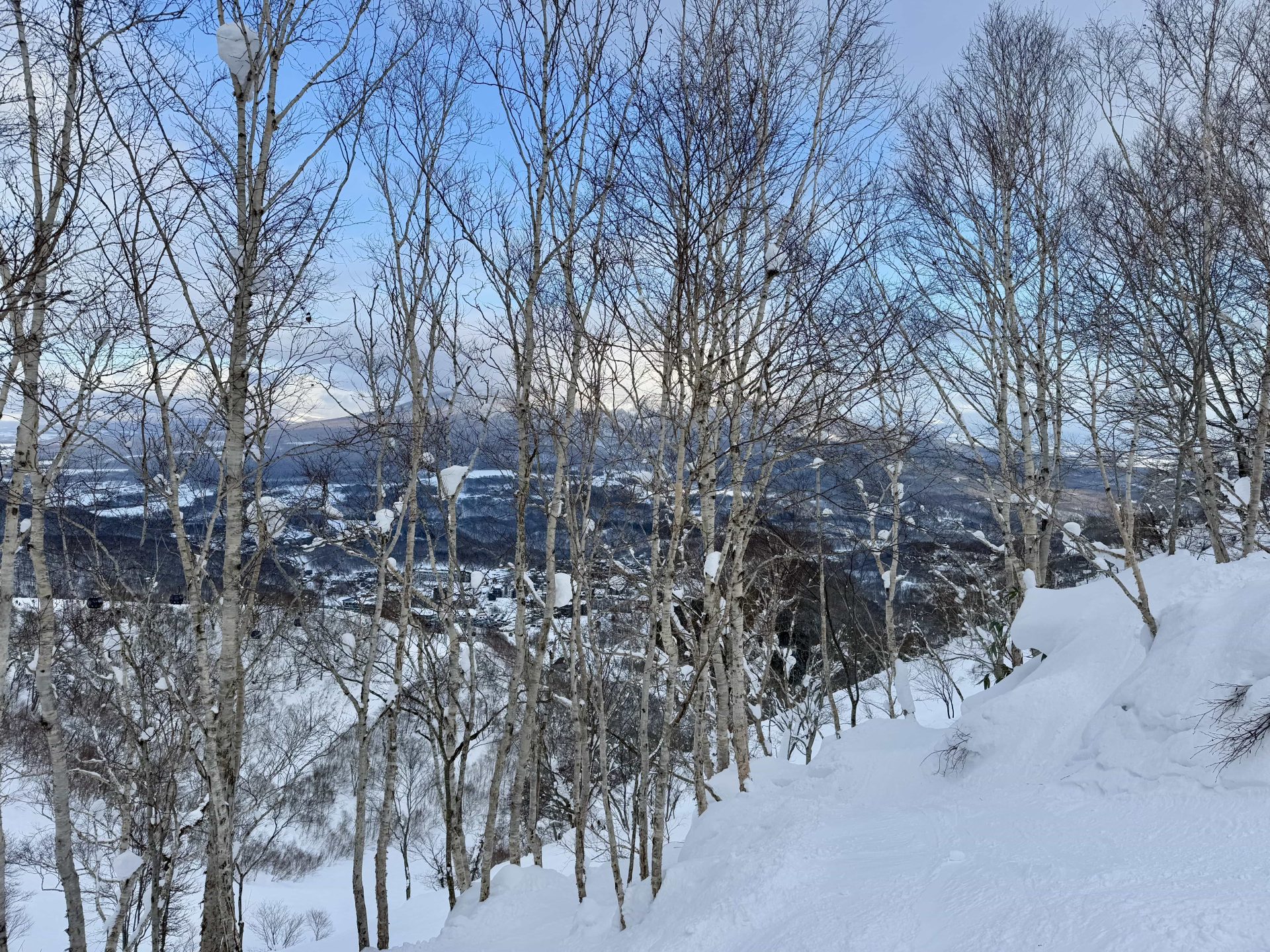 Niseko