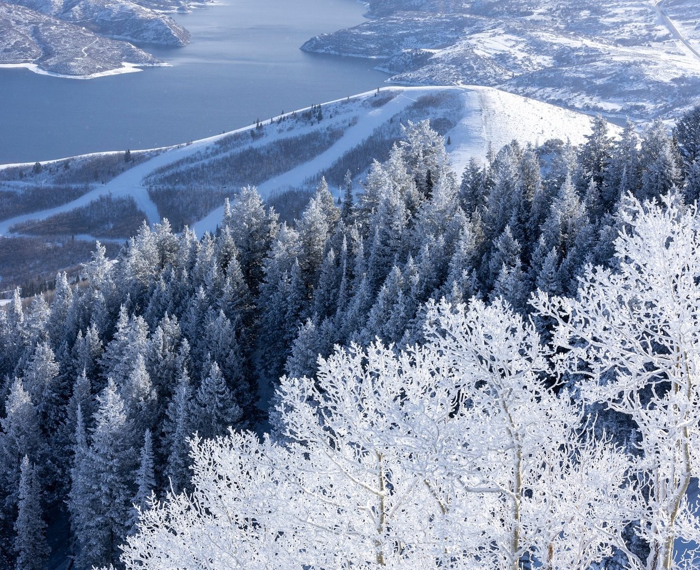 A “Inexperienced Monster” Amongst Giants—Deer Valley Resort, UT, Will Declare Longest Ski Run within the State