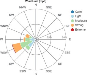 Figure 2 Wind rose from January 2nd, two days before the accident.