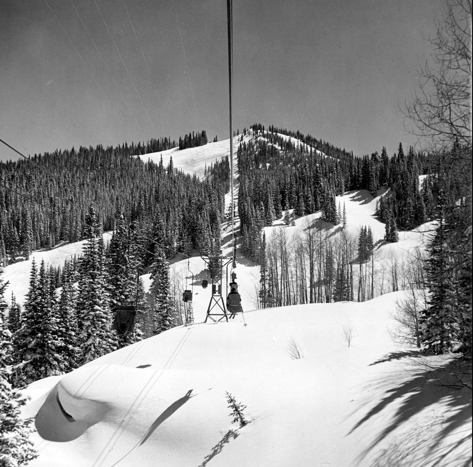 Aspen 1950s