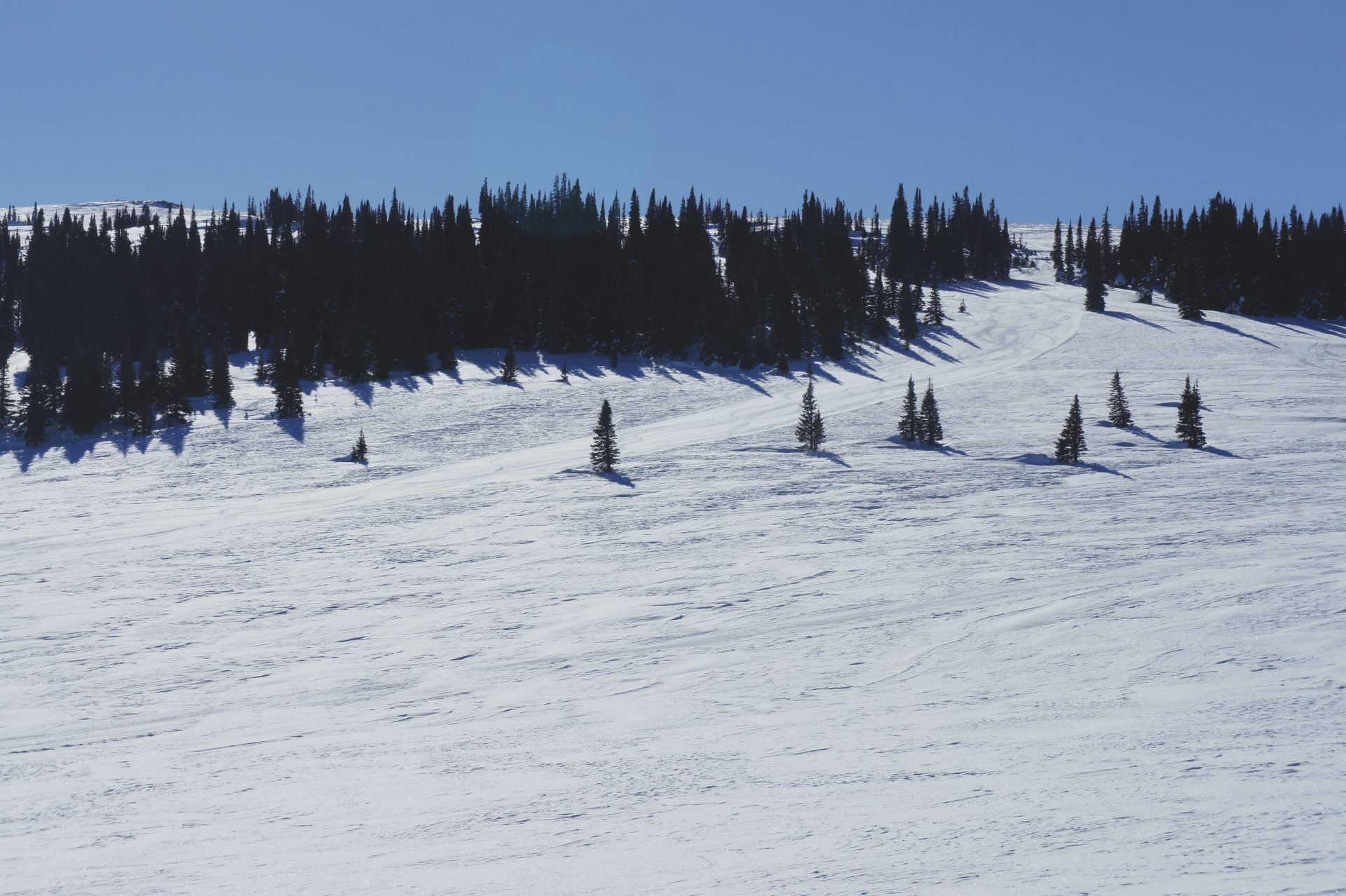beginer ski run at pomerlele