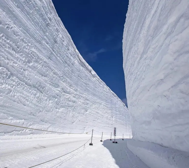 DeepJapanSnowpack