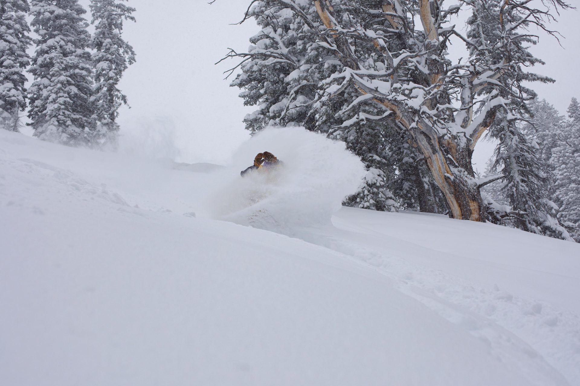The Right Terrain: Knowing Where and How to Start in the Backcountry - SnowBrains