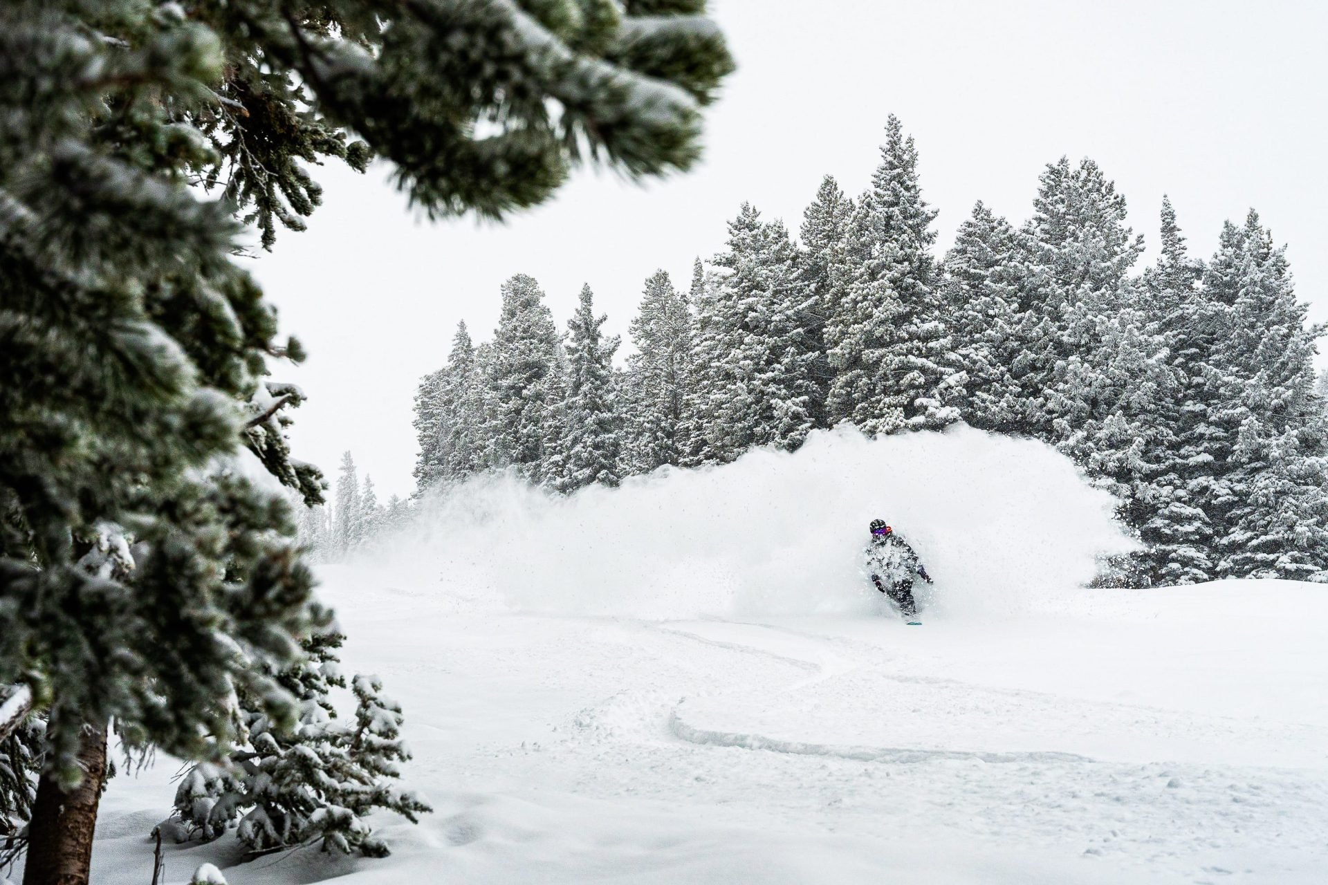 Snowmass, CO, Conditions Report: Early Ups Powder for the Win! - SnowBrains