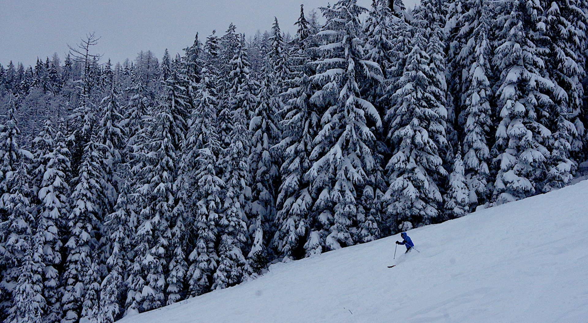 Silver Mountain, ID, Report: Fresh Tracks All Day If You're Willing to Hunt - SnowBrains